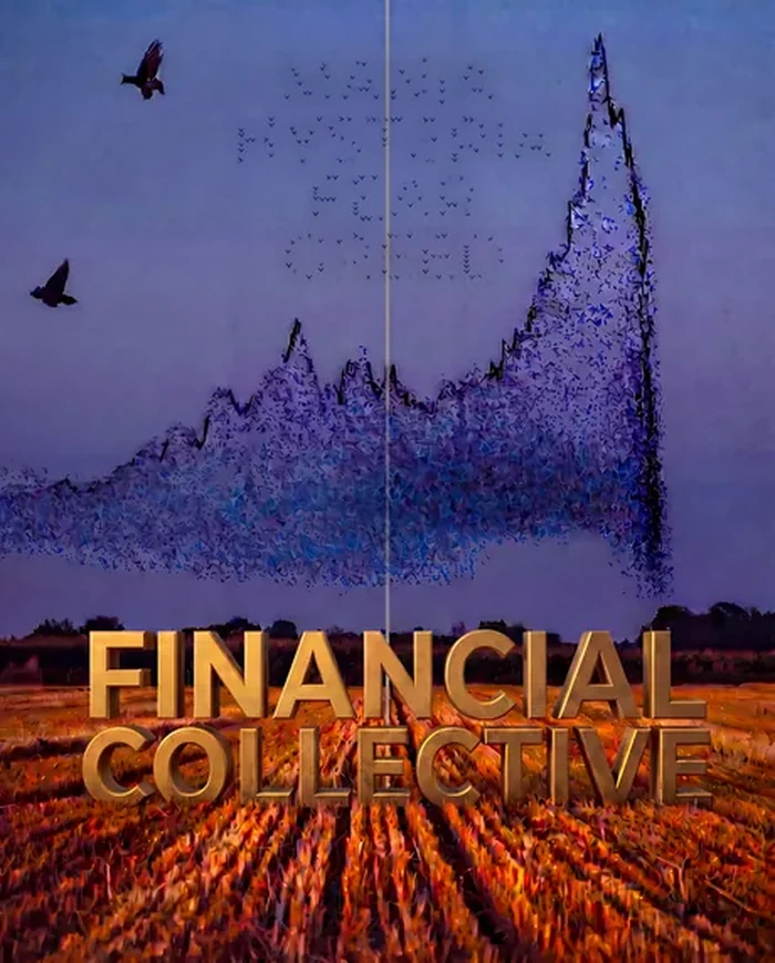 Financial Collective — cover